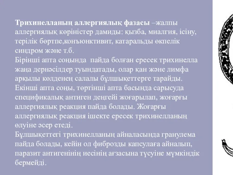 Трихинелланың аллергиялық фазасы –жалпы аллергиялық көріністер дамиды: қызба, миалгия, ісіну, терілік бөртпе,конъюнктивит,