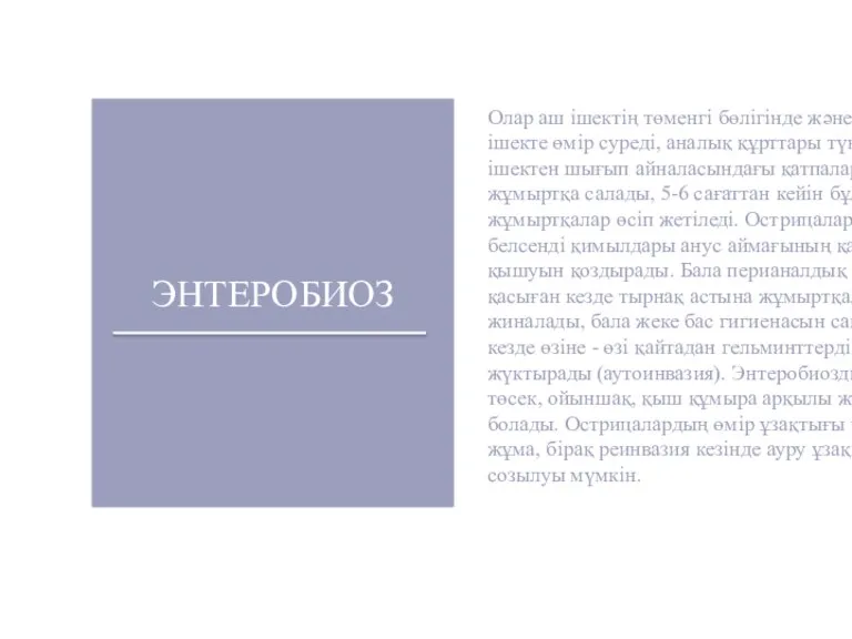 ЭНТЕРОБИОЗ Олар аш ішектің төменгі бөлігінде және тоқ ішекте өмір суреді, аналық