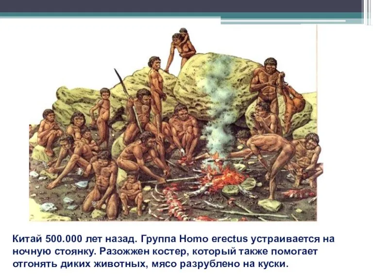 Китай 500.000 лет назад. Группа Homo erectus устраивается на ночную стоянку. Разожжен