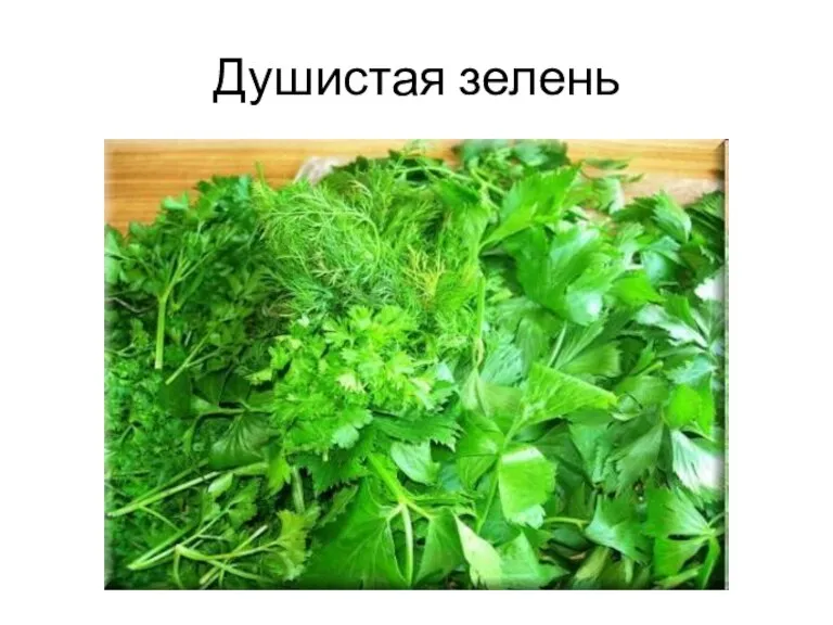 Душистая зелень