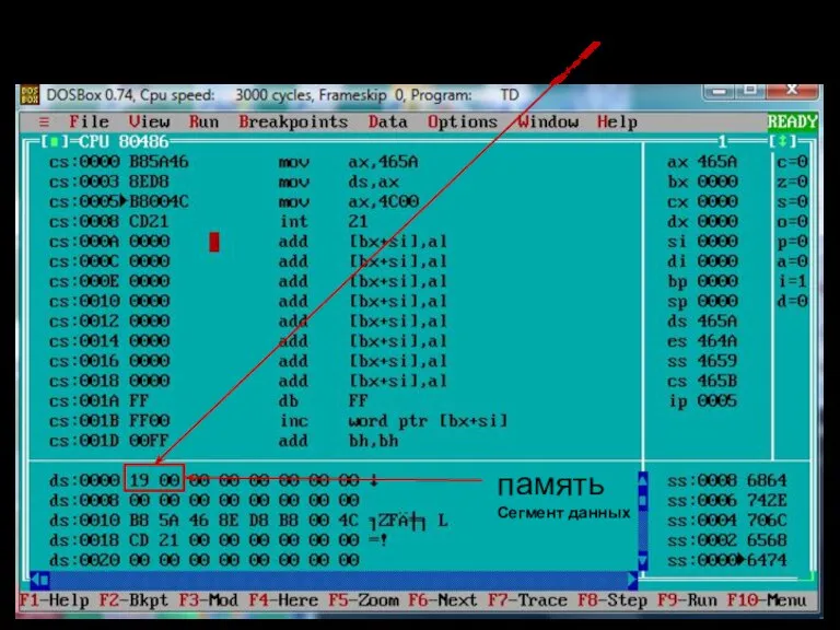 Целые числа ds – сегмент данных; cs – сегмент кода =19(16) память Сегмент данных
