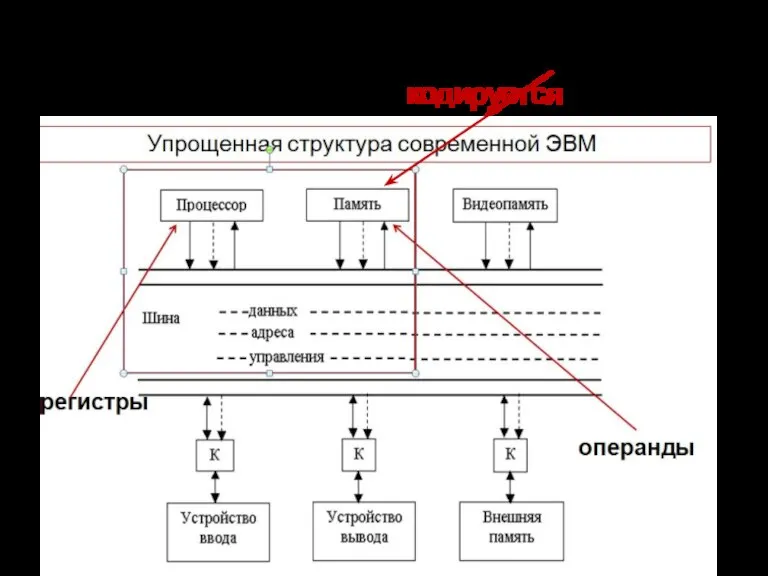 Информация, которую обрабатывает цифровой процессор хранится в оперативной памяти и в его регистрах. Эта информация кодируется.