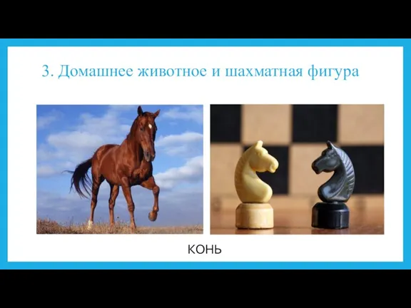3. Домашнее животное и шахматная фигура КОНЬ