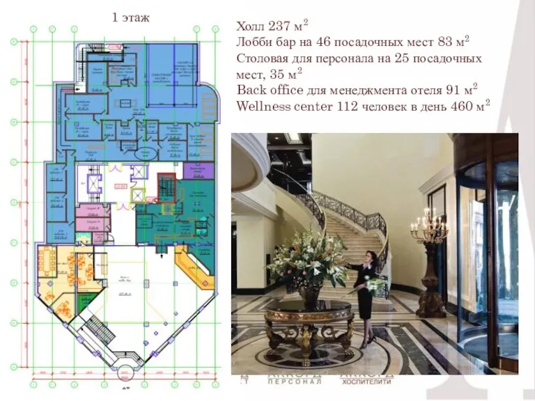Холл 237 м2 Лобби бар на 46 посадочных мест 83 м2 Столовая