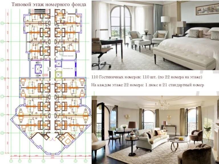 Типовой этаж номерного фонда 110 Гостиничных номеров: 110 шт. (по 22 номера