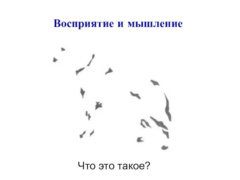 Восприятие и мышление Что это такое?