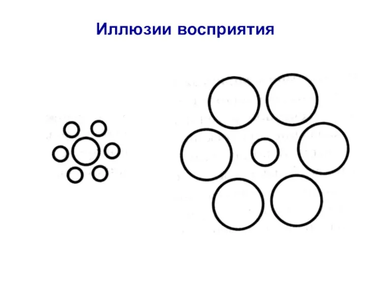 Иллюзии восприятия