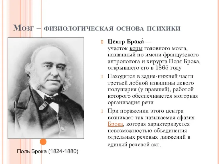 Центр Брока́ — участок коры головного мозга, названный по имени французского антрополога