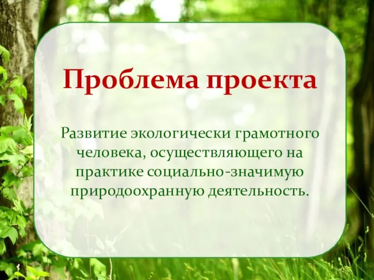 Проблема проекта Развитие экологически грамотного человека, осуществляющего на практике социально-значимую природоохранную деятельность.