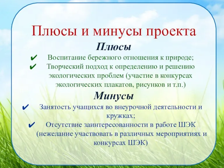 Плюсы и минусы проекта Плюсы Воспитание бережного отношения к природе; Творческий подход