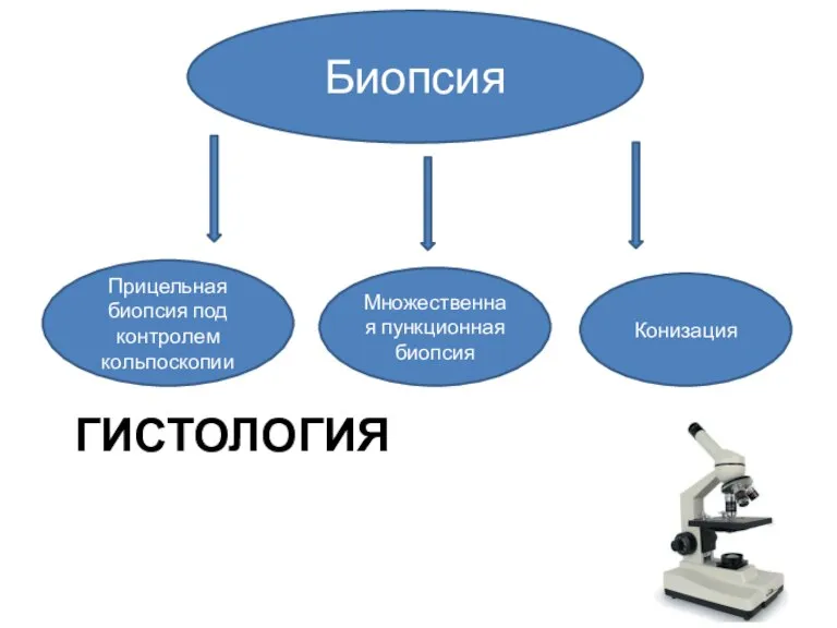 ГИСТОЛОГИЯ Биопсия Прицельная биопсия под контролем кольпоскопии Множественная пункционная биопсия Конизация