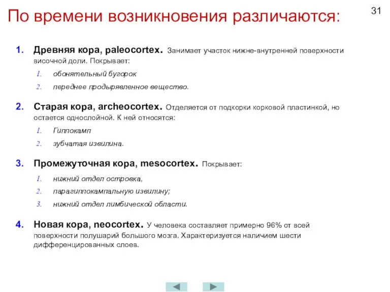 По времени возникновения различаются: Древняя кора, paleocortex. Занимает участок нижне-внутренней поверхности височной