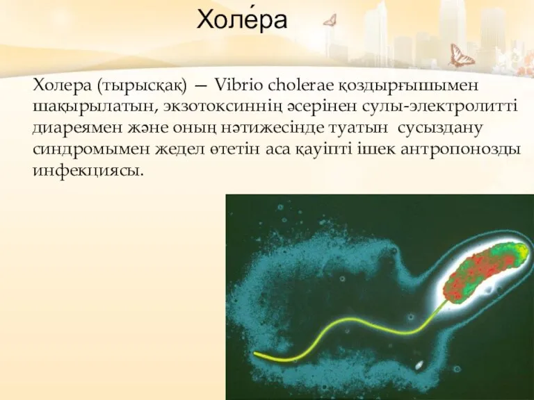 Холера (тырысқақ) — Vibrio cholerae қоздырғышымен шақырылатын, экзотоксиннің әсерінен сулы-электролитті диареямен және
