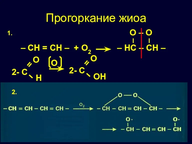 1. Прогоркание жиоа 2. – CH = CH – + O2 –