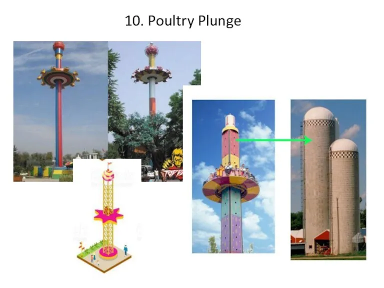 10. Poultry Plunge