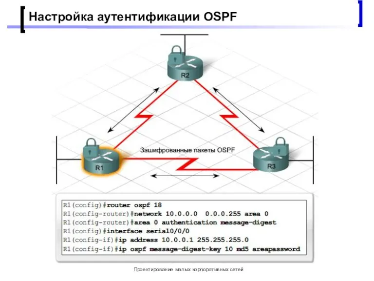 Проектирование малых корпоративных сетей Настройка аутентификации OSPF