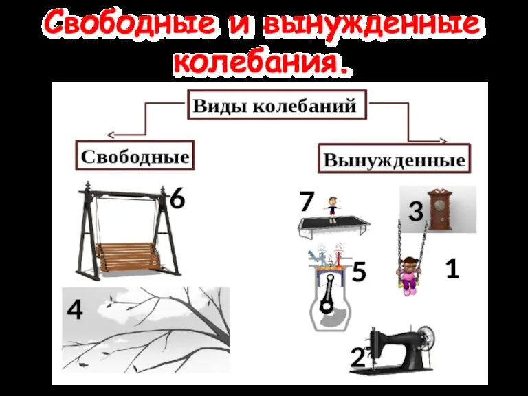 Свободные и вынужденные колебания.