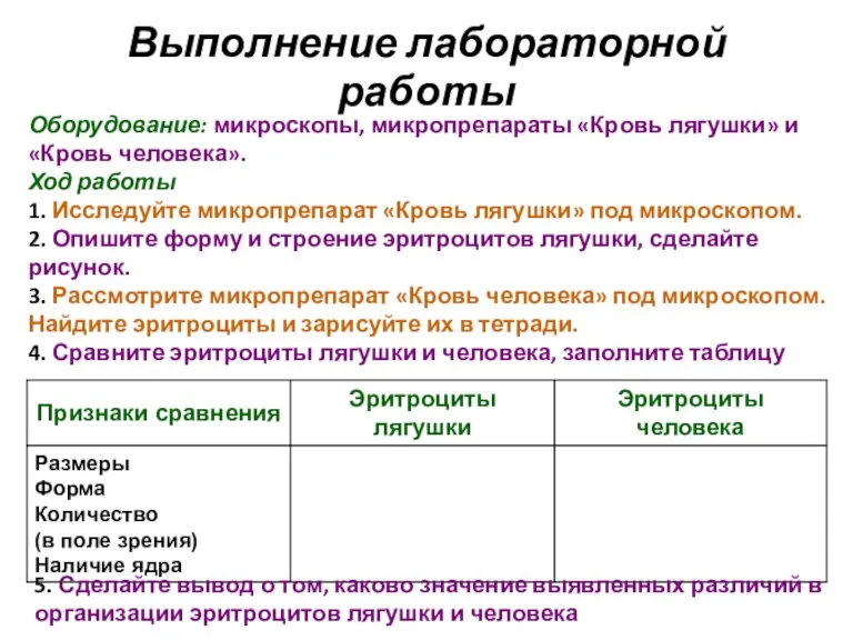 Выполнение лабораторной работы Оборудование: микроскопы, микропрепараты «Кровь лягушки» и «Кровь человека». Ход