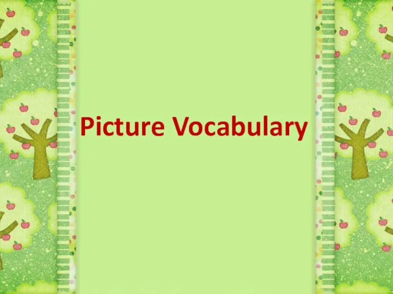 Picture Vocabulary