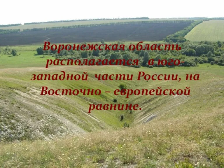 Воронежская область располагается в юго-западной части России, на Восточно – европейской равнине.