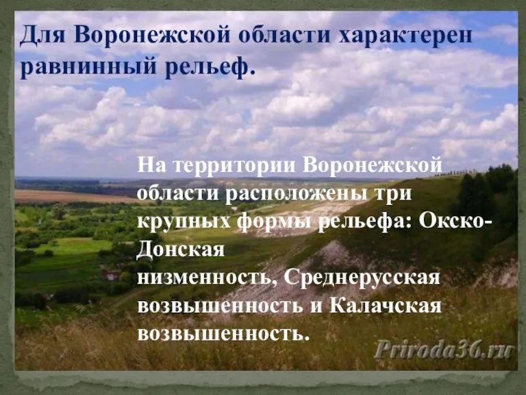 Для Воронежской области характерен равнинный рельеф. На территории Воронежской области расположены три