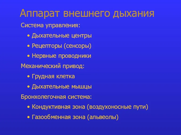 Аппарат внешнего дыхания Система управления: Дыхательные центры Рецепторы (сенсоры) Нервные проводники Механический