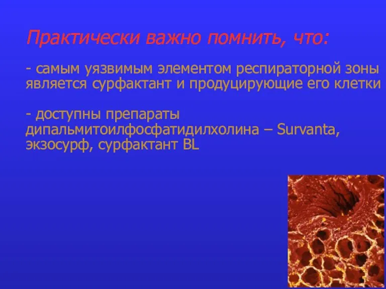 Практически важно помнить, что: - самым уязвимым элементом респираторной зоны является сурфактант