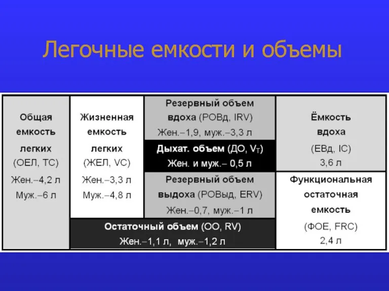 Легочные емкости и объемы