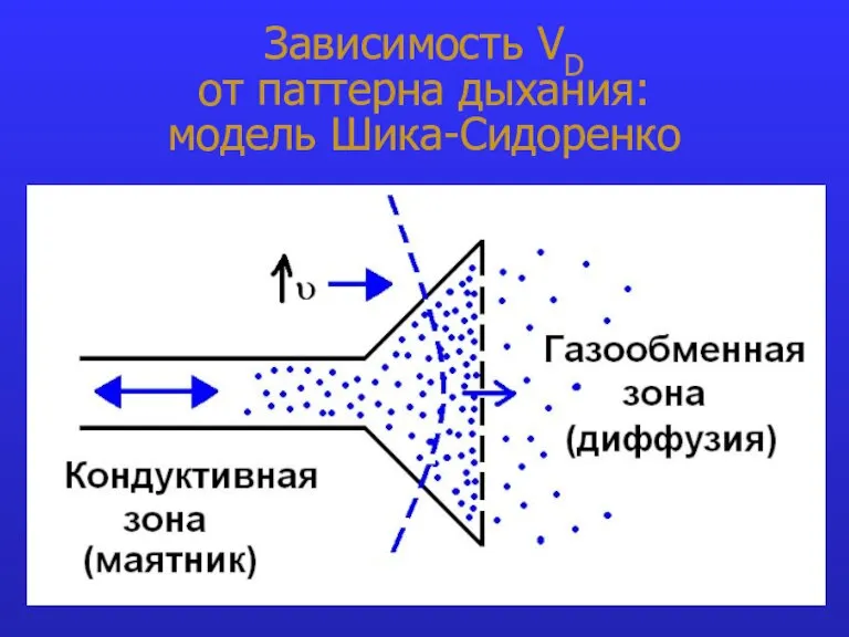 Зависимость VD от паттерна дыхания: модель Шика-Сидоренко