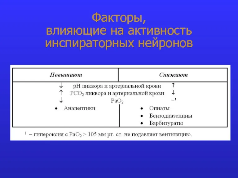 Факторы, влияющие на активность инспираторных нейронов