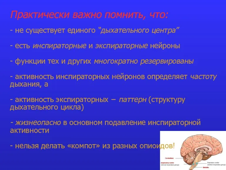 Практически важно помнить, что: - не существует единого “дыхательного центра” - есть