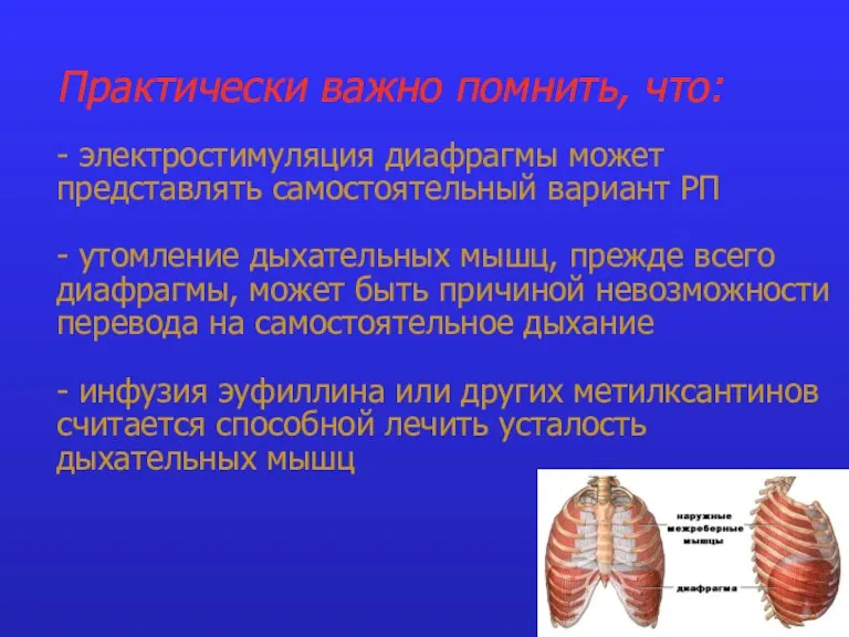 Практически важно помнить, что: - электростимуляция диафрагмы может представлять самостоятельный вариант РП