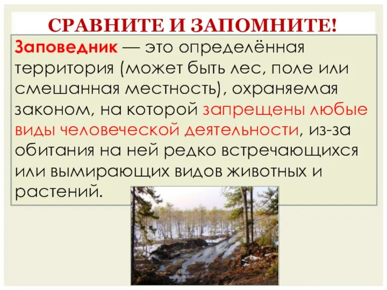 СРАВНИТЕ И ЗАПОМНИТЕ! ЗАКАЗНИК - участок природной территории с ограничением хозяйственной деятельности