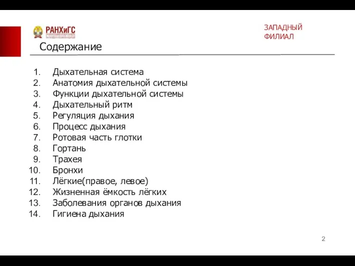 Дыхательная система Анатомия дыхательной системы Функции дыхательной системы Дыхательный ритм Регуляция дыхания