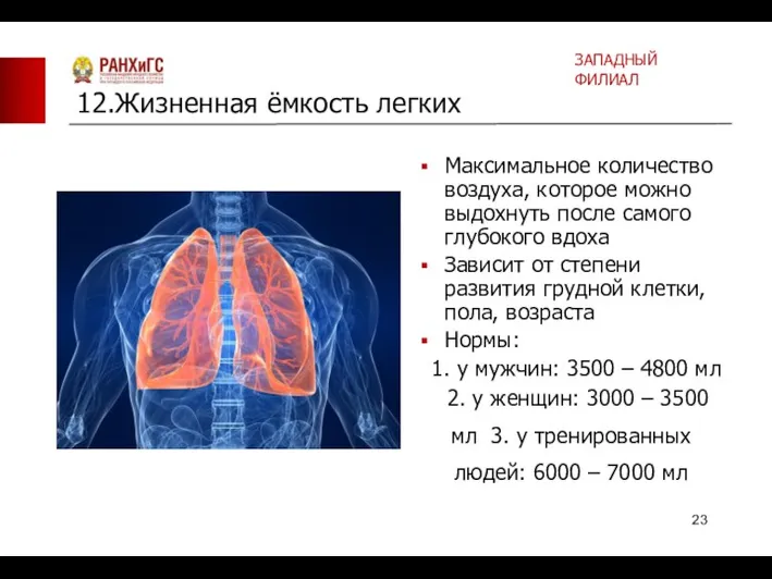 Максимальное количество воздуха, которое можно выдохнуть после самого глубокого вдоха Зависит от