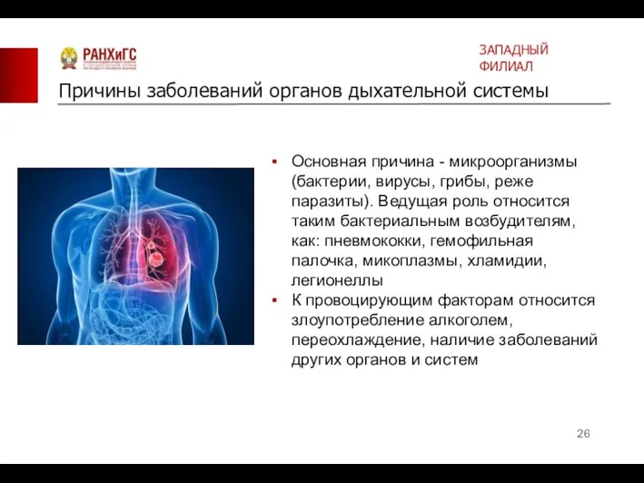 Основная причина - микроорганизмы (бактерии, вирусы, грибы, реже паразиты). Ведущая роль относится