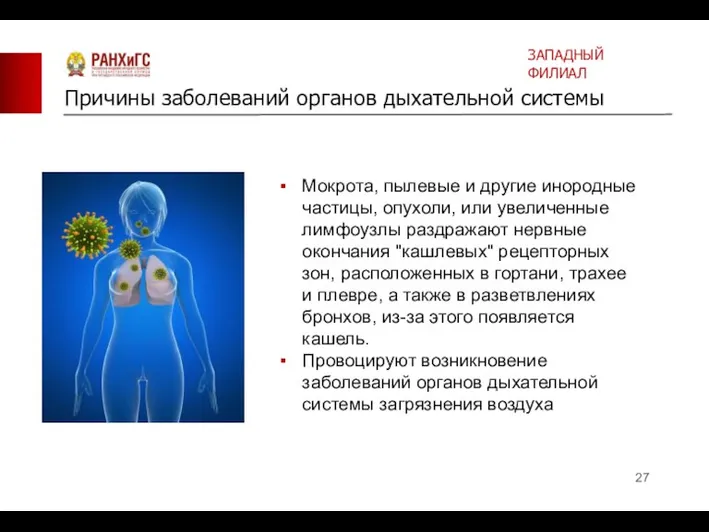 Мокрота, пылевые и другие инородные частицы, опухоли, или увеличенные лимфоузлы раздражают нервные