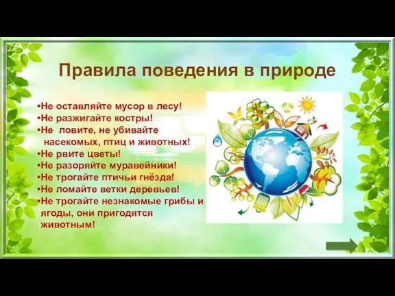 Правила поведения в природе Не оставляйте мусор в лесу! Не разжигайте костры!