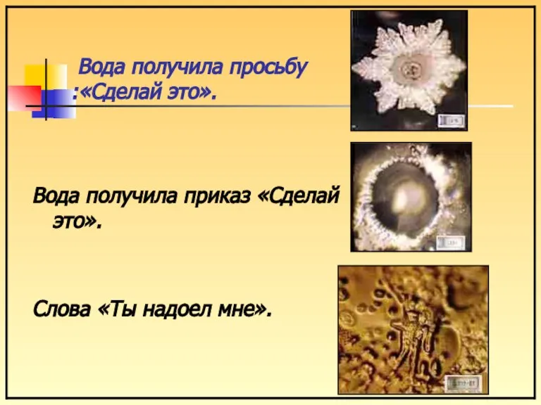 Вода получила просьбу :«Сделай это». Вода получила приказ «Сделай это». Слова «Ты надоел мне».