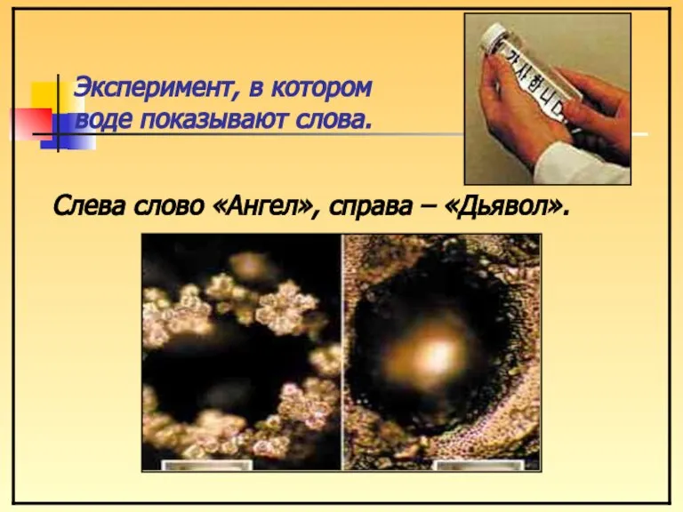 Эксперимент, в котором воде показывают слова. Слева слово «Ангел», справа – «Дьявол».