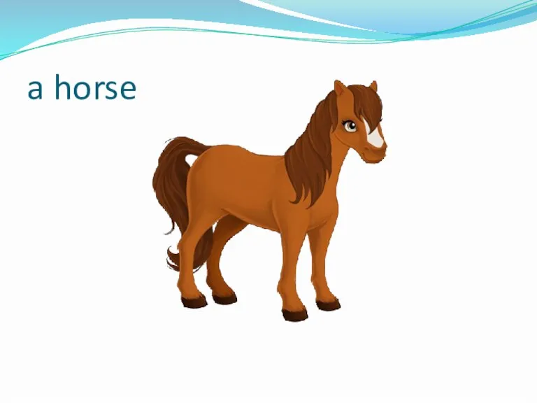 a horse