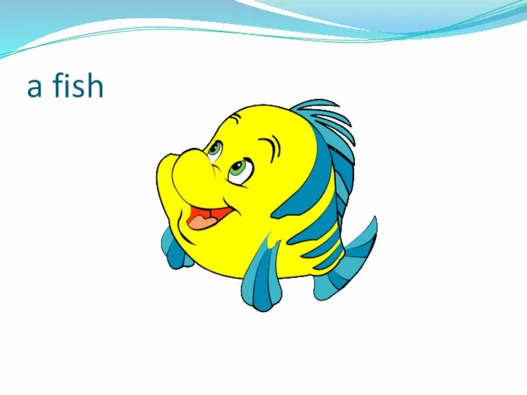a fish