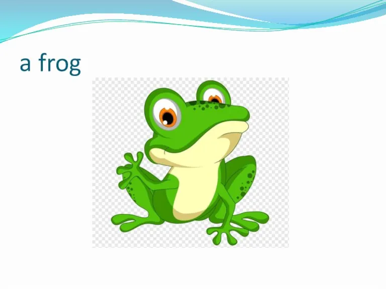 a frog