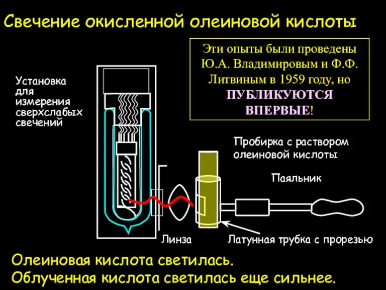 Свечение окисленной олеиновой кислоты Эти опыты были проведены Ю.А. Владимировым и Ф.Ф.