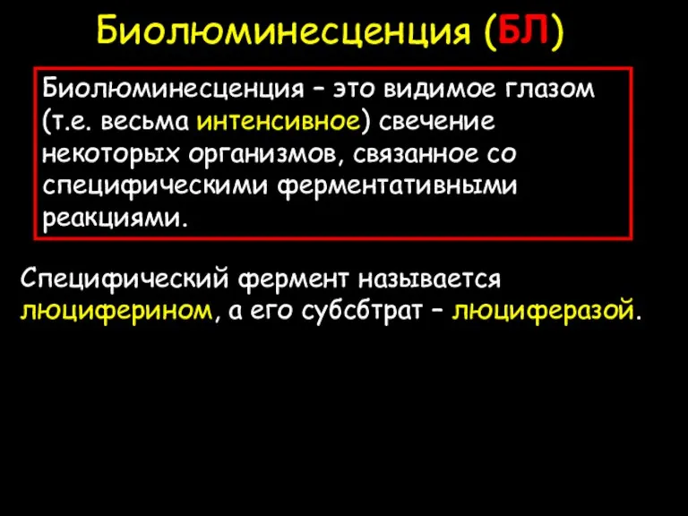 Биолюминесценция (БЛ) Биолюминесценция – это видимое глазом (т.е. весьма интенсивное) свечение некоторых