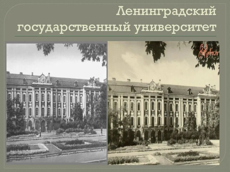 Ленинградский государственный университет