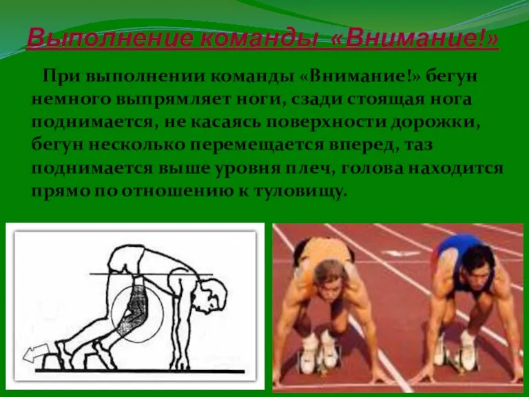 Выполнение команды «Внимание!» При выполнении команды «Внимание!» бегун немного выпрямляет ноги, сзади