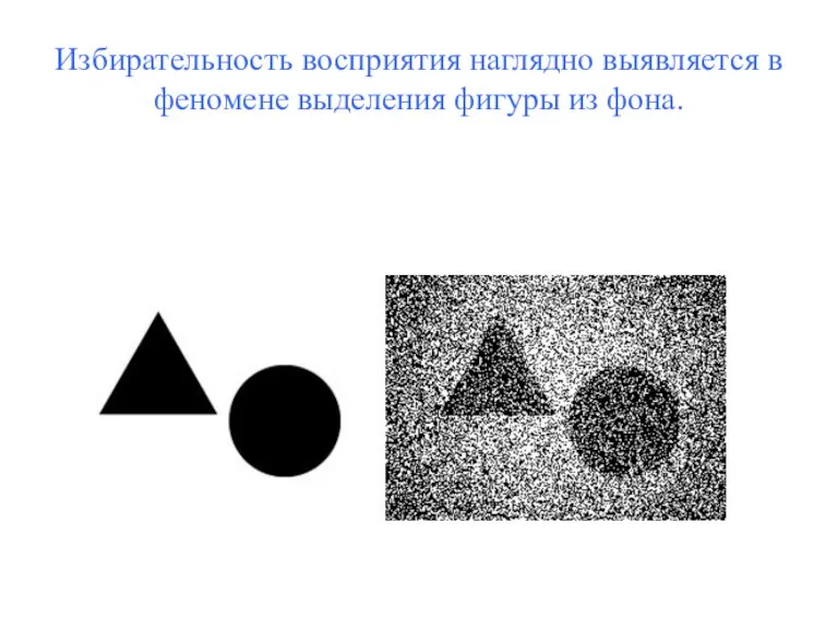 Избирательность восприятия наглядно выявляется в феномене выделения фигуры из фона.