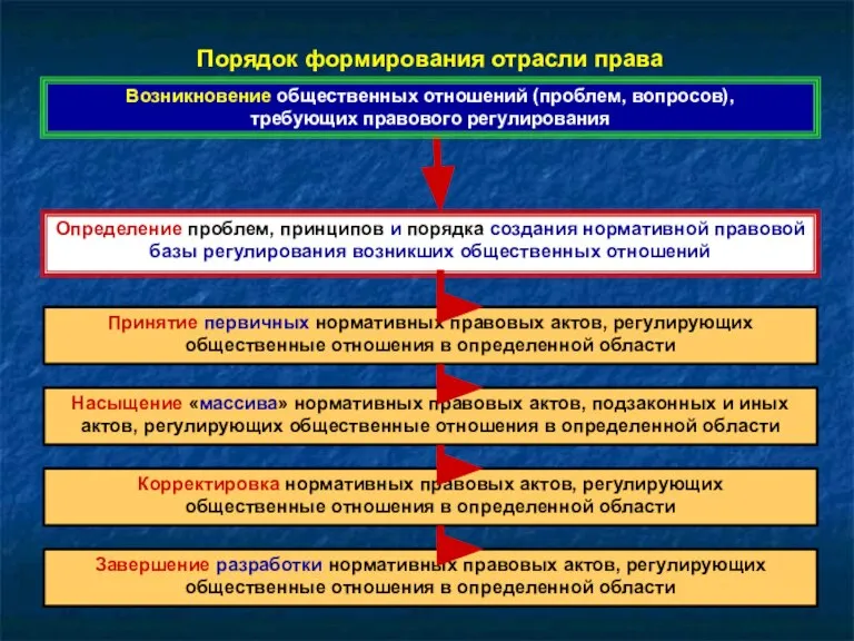 Порядок формирования отрасли права Возникновение общественных отношений (проблем, вопросов), требующих правового регулирования