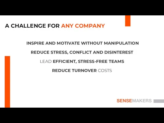 SENSEMAKERS A CHALLENGE FOR ANY COMPANY INSPIRE AND MOTIVATE WITHOUT MANIPULATION REDUCE